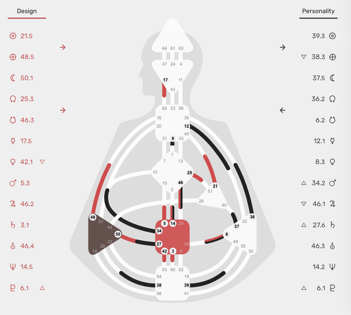 Waarom naar een Human Design analyst gaan?